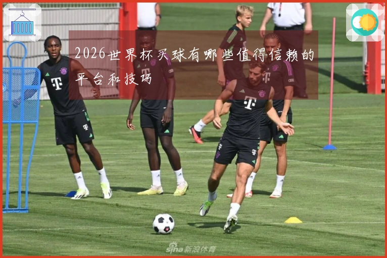 2026世界杯买球有哪些值得信赖的平台和技巧