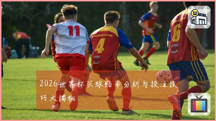 2026世界杯买球赔率分析与投注技巧大揭秘