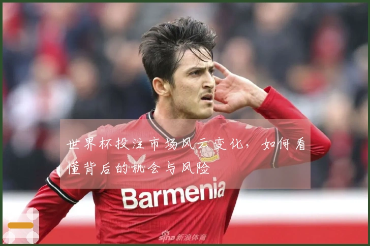 世界杯投注市场风云变化，如何看懂背后的机会与风险