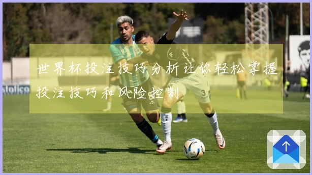 世界杯投注技巧分析让你轻松掌握投注技巧和风险控制