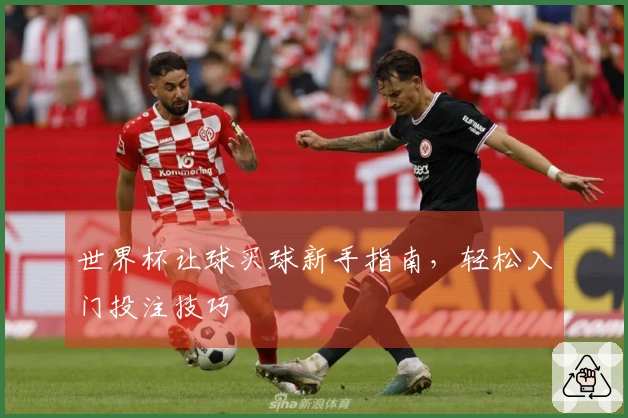 世界杯让球买球新手指南，轻松入门投注技巧