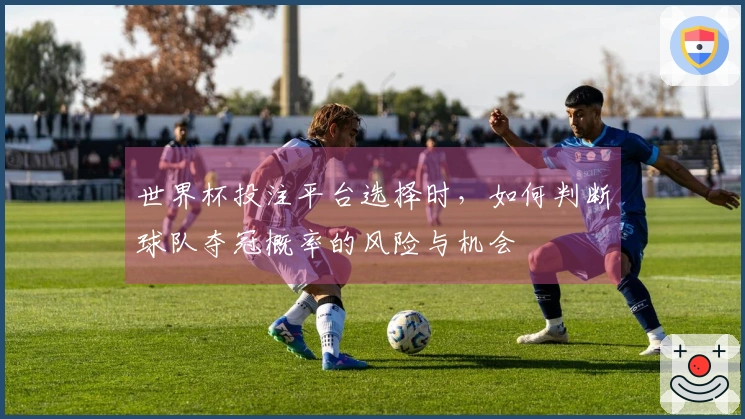 世界杯投注平台选择时，如何判断球队夺冠概率的风险与机会