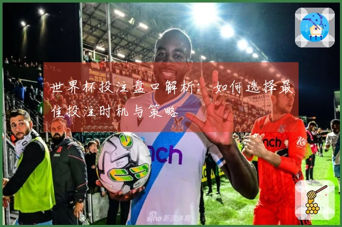 世界杯投注盘口解析：如何选择最佳投注时机与策略