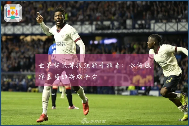 世界杯买球投注新手指南：如何选择靠谱的游戏平台