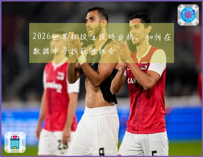 2026世界杯投注技巧分析：如何在数据中寻找获胜机会