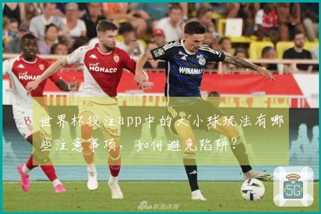 世界杯投注app中的大小球玩法有哪些注意事项，如何避免陷阱？