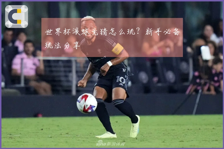 世界杯滚球竞猜怎么玩？新手必备玩法分享