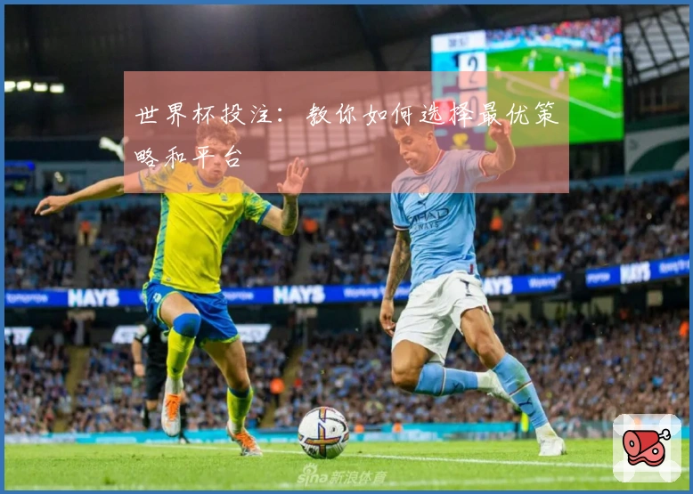世界杯投注：教你如何选择最优策略和平台
