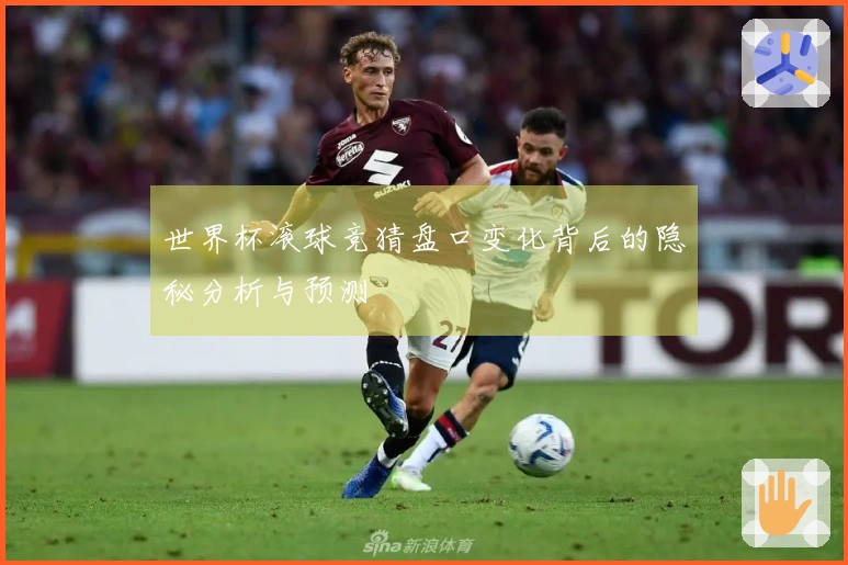 世界杯滚球竞猜盘口变化背后的隐秘分析与预测