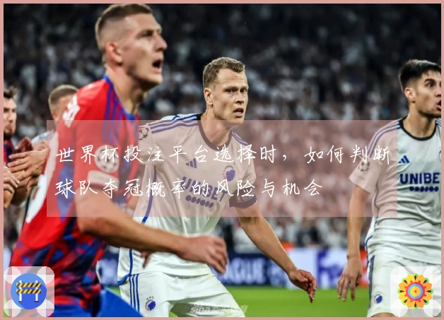 世界杯投注平台选择时，如何判断球队夺冠概率的风险与机会