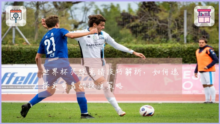 世界杯买球竞猜技巧解析，如何选择更可靠的投注策略