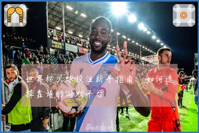 世界杯买球投注新手指南：如何选择靠谱的游戏平台