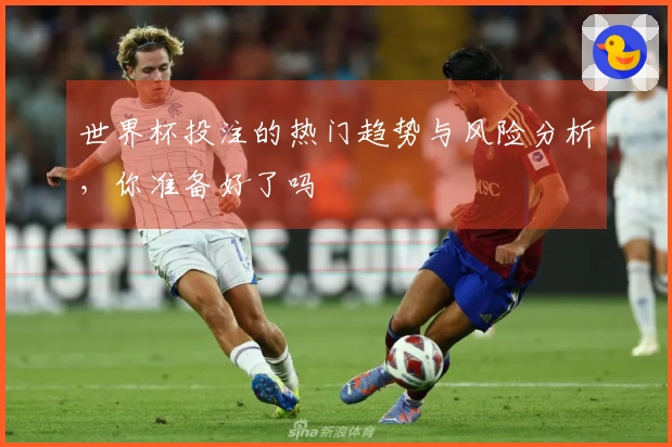世界杯投注的热门趋势与风险分析,你准备好了吗
