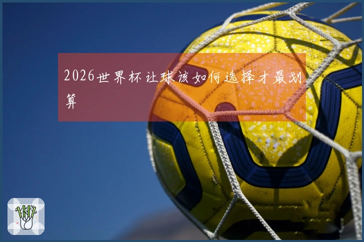 2026世界杯让球该如何选择才最划算