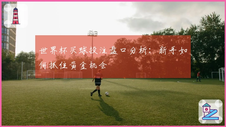 世界杯买球投注盘口分析：新手如何抓住黄金机会