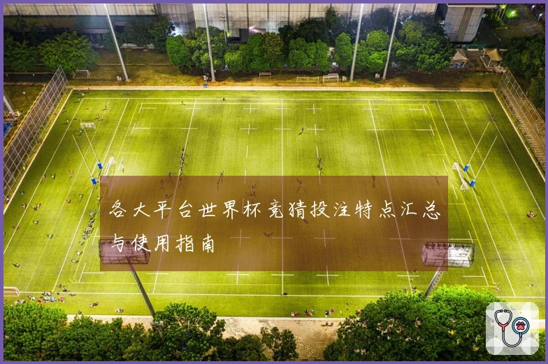 各大平台世界杯竞猜投注特点汇总与使用指南