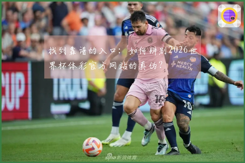 找到靠谱的入口：如何辨别2026世界杯体彩官方网站的真伪？