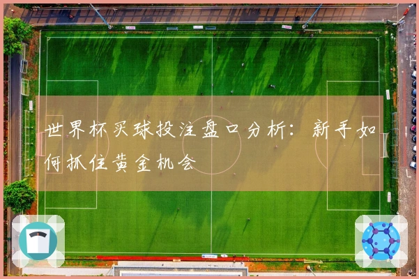 世界杯买球投注盘口分析:新手如何抓住黄金机会